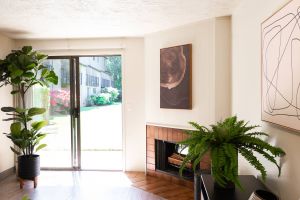 Northgreen Apartments Bright living room with plants, a fireplace, modern art, and a sliding glass door leading to a green yard.