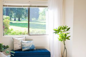 Northgreen Apartments Bright bedroom corner with a blue bench, potted plant, and large window overlooking greenery.