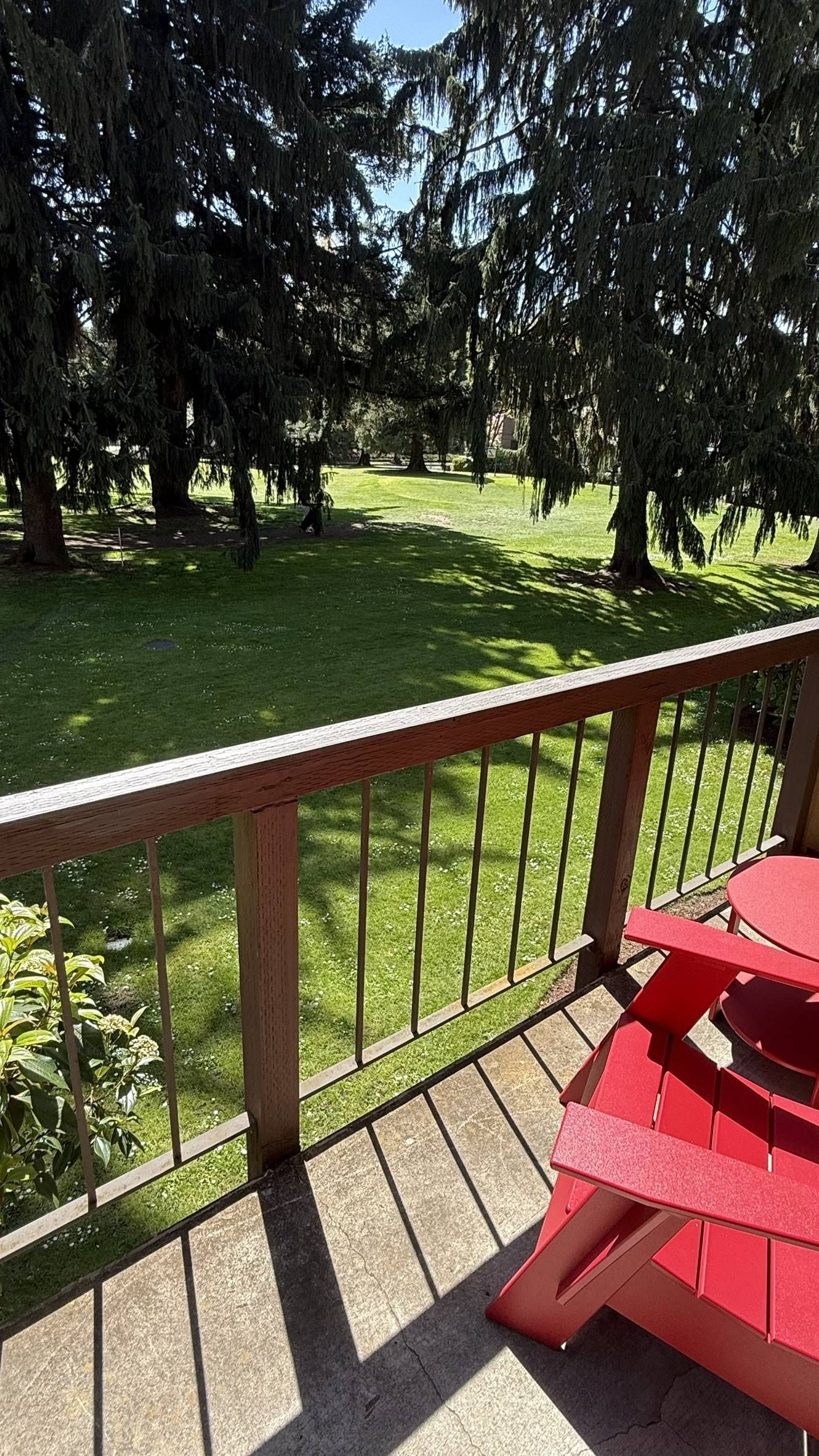 Northgreen Apartments View from a porch with red chairs, looking out onto a sunny lawn with tall evergreen trees.